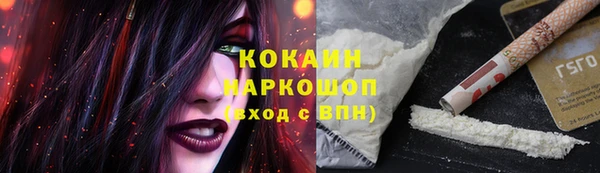 дмт Осташков