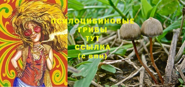 кристаллы Белокуриха